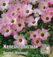 Оксалис Железистолистная 