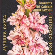 Гладиолус Тот Самый Мюнхгаузен 