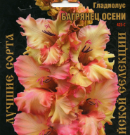 Гладиолус Багрянец Осени