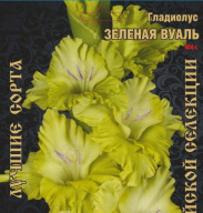 Гладиолус Зеленая Вуаль