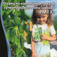 Огурец  F1 РМТ "Уральский дачник" 