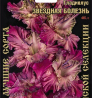 Гладиолус Звездная болезнь