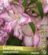 Лилия восточные махровые Бьютитренд 
