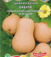 Тыква мускатная Бабуля "Premium Seeds"