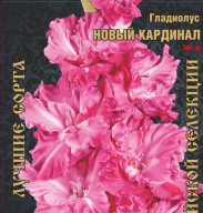 Гладиолус Новый кардинал