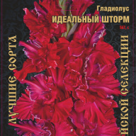 Гладиолус Идеальный шторм