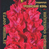 Гладиолус Троянский Конь