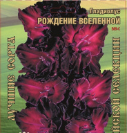 Гладиолус Рождение вселенной