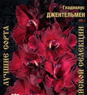 Гладиолус Джентельмен