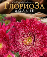 Астра китайская ГлориоЗа Дольче   "Биотехника"