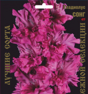 Гладиолус Сонг